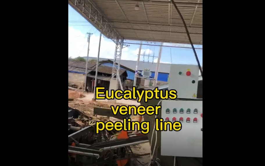 India/Indonesian Eucalyptus Wood Veneer Peeling Line
