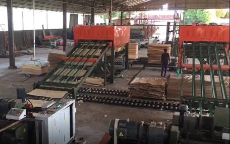 mengupas kayu karet di malaysia