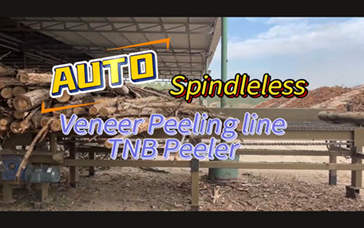 Auto Teeth Roller & Nose Bar Spindleless Peeling Line in Cambodia