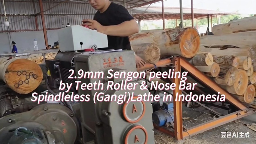 2.9mm Sengon/Falcata peeling in Indonesia
