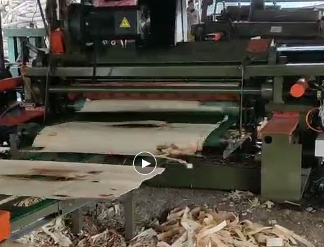 4ft 1300mm Mesin Debarker Hidrolik Log Debarker Mesin Dikirim ke Filipina